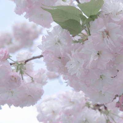 Furry绘画创意灵感兽圈社群